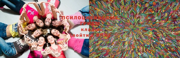 дмт Новодвинск